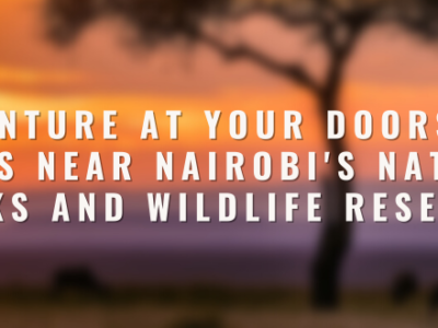 Adventure at Your Doorstep: Hotels Near Nairobi's National Parks and Wildlife Reserves