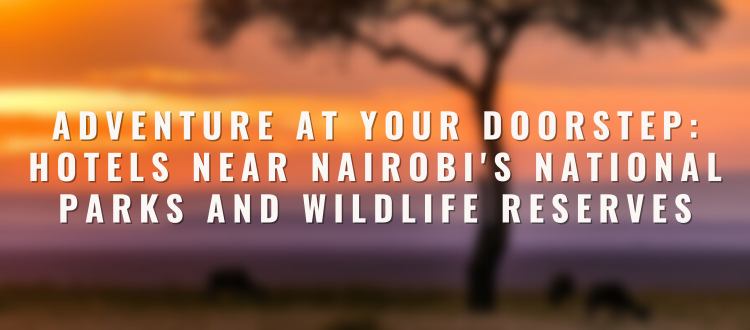 Adventure at Your Doorstep: Hotels Near Nairobi's National Parks and Wildlife Reserves