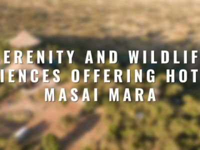 Serenity and Wildlife Experiences Offering Hotels in Masai Mara