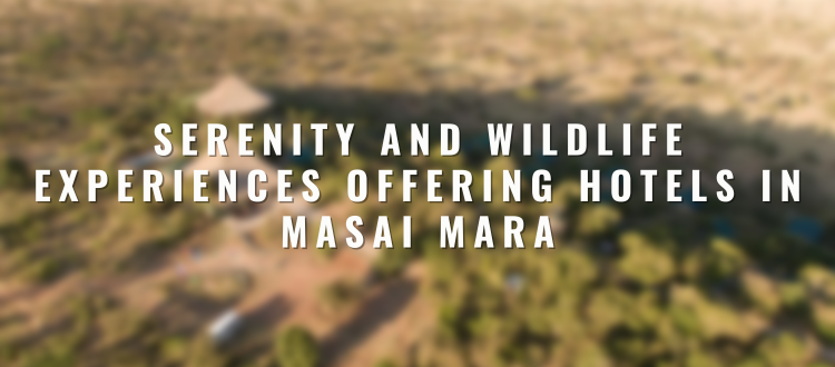 Serenity and Wildlife Experiences Offering Hotels in Masai Mara